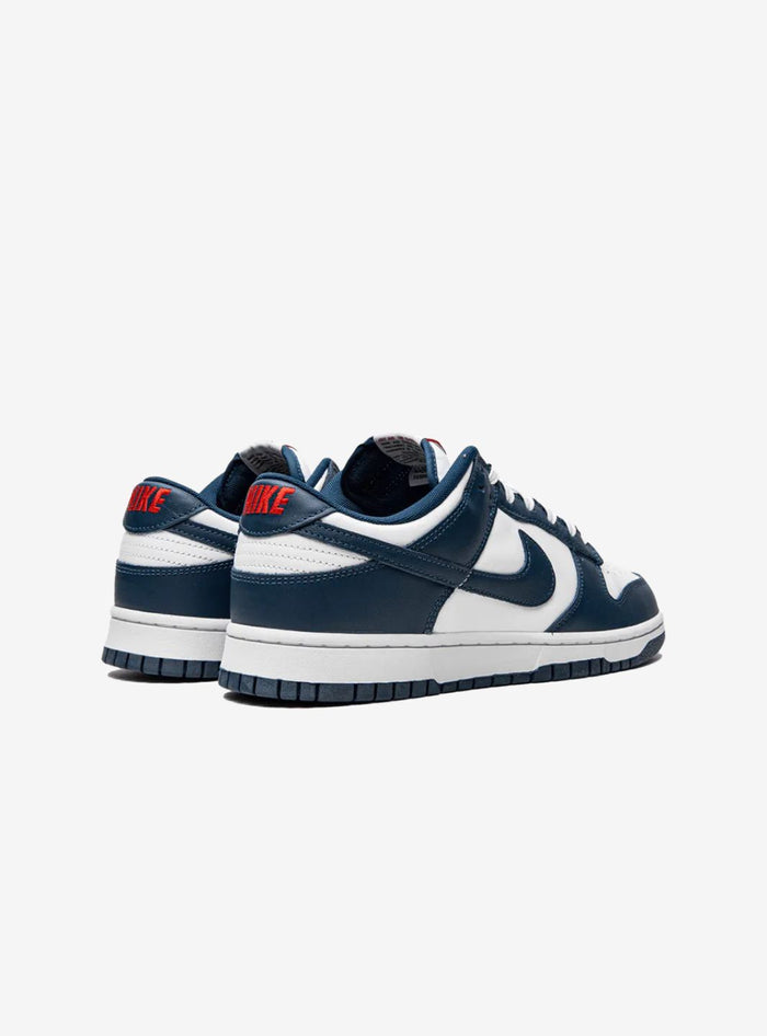 Nike Dunk Low Valerian Blue